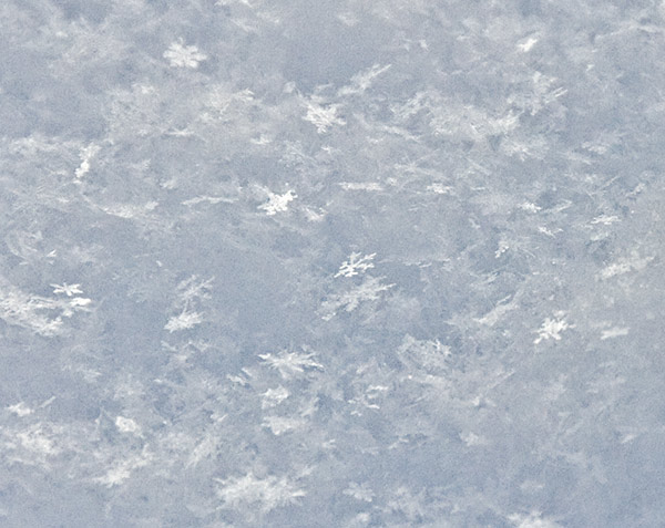 snowflakes